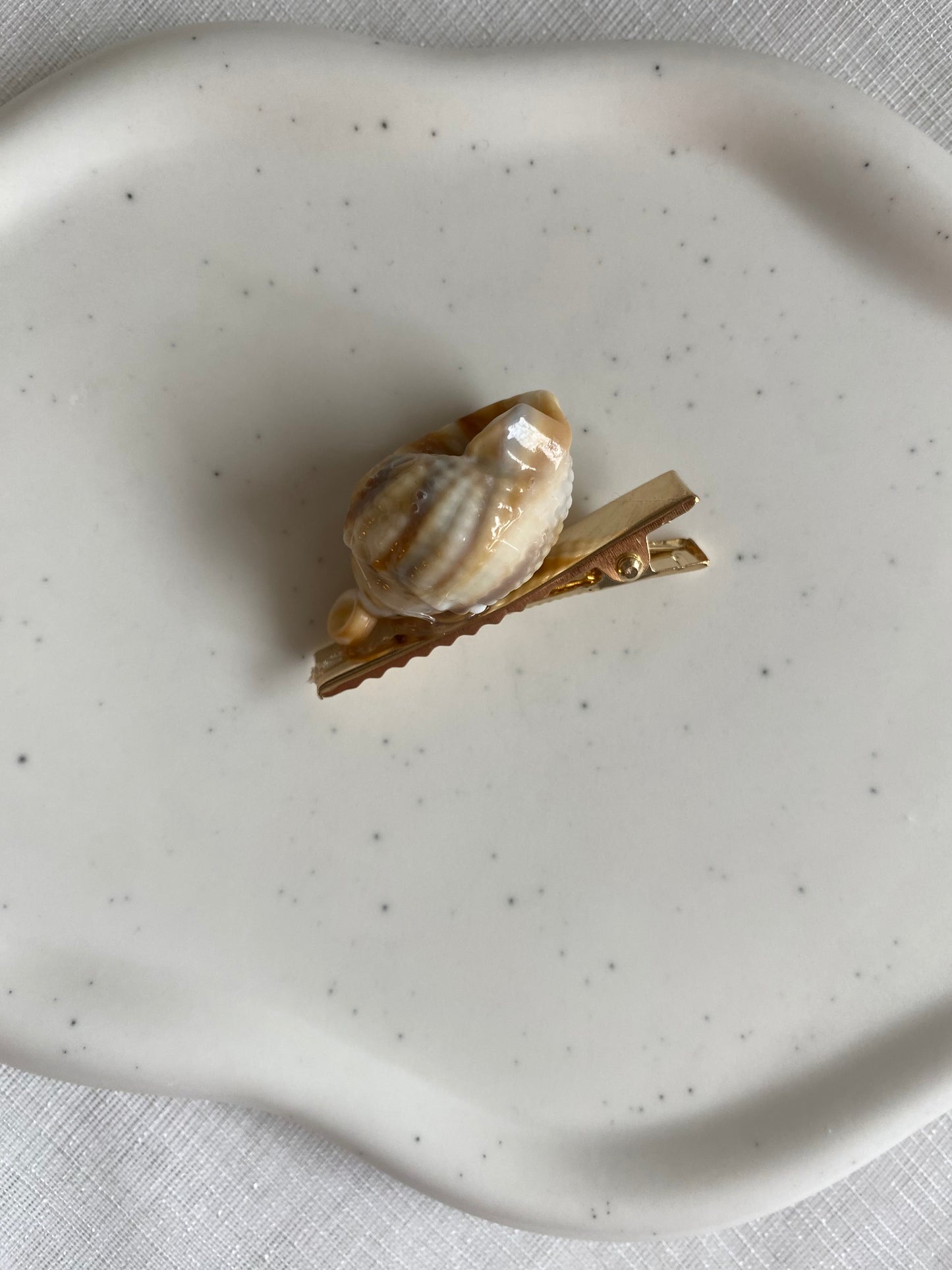 Saint Ocean Shell Hair Clip