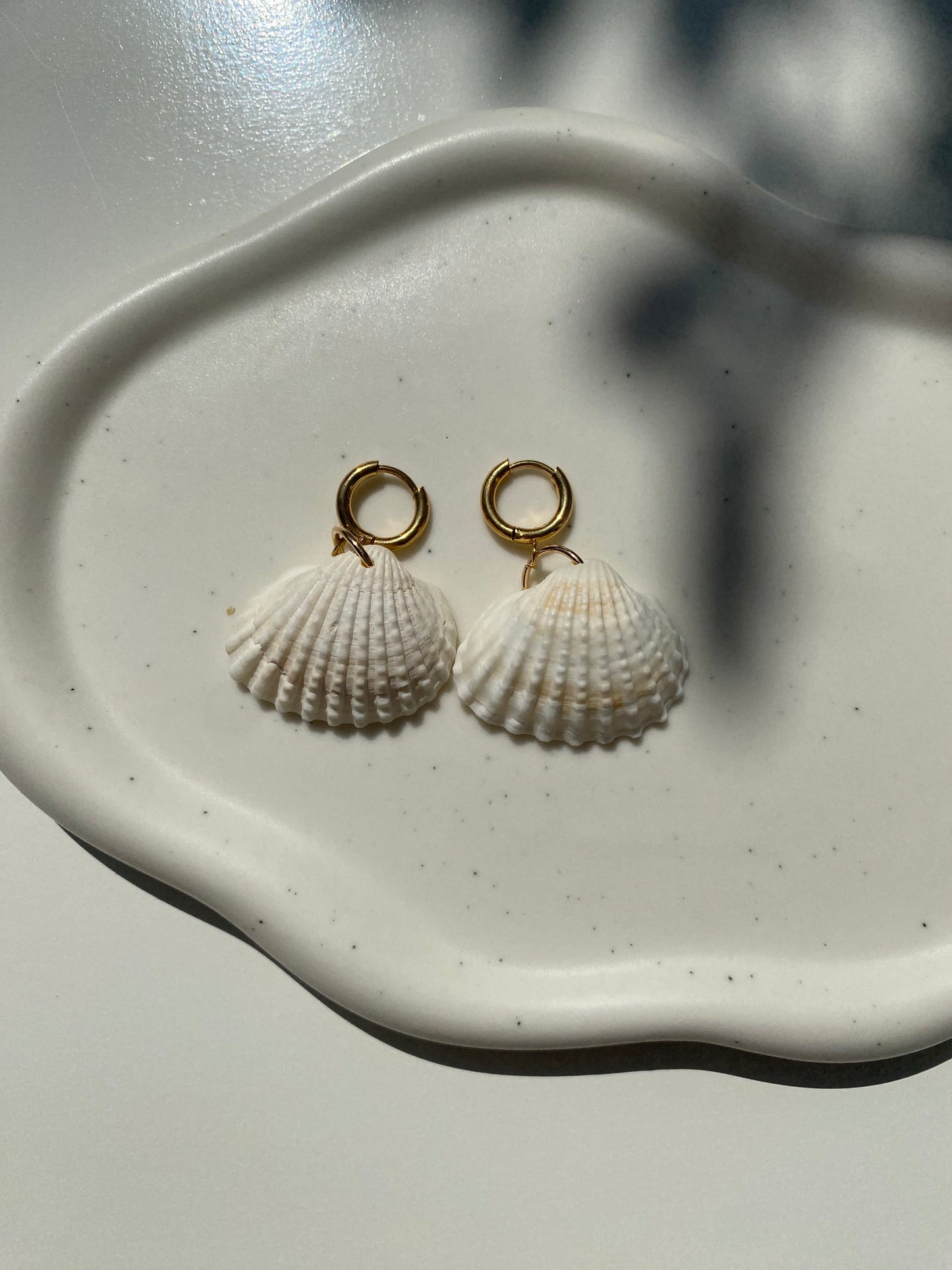 Scallop Shell Earring