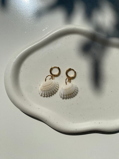 Scallop Shell Earring