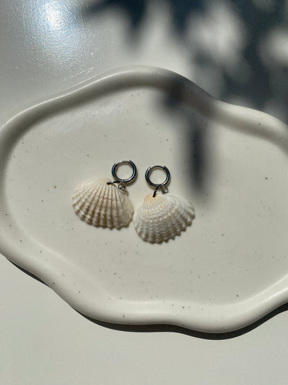 Scallop Shell Earring