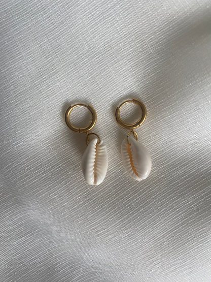 Cowrie Shell Earring