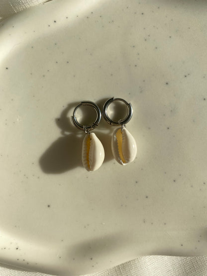 Cowrie Shell Earring